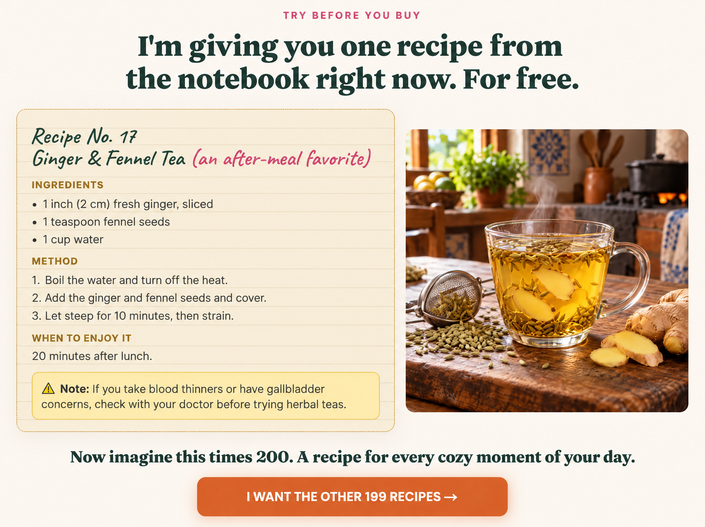 A free Ginger and Fennel Tea recipe from the notebook